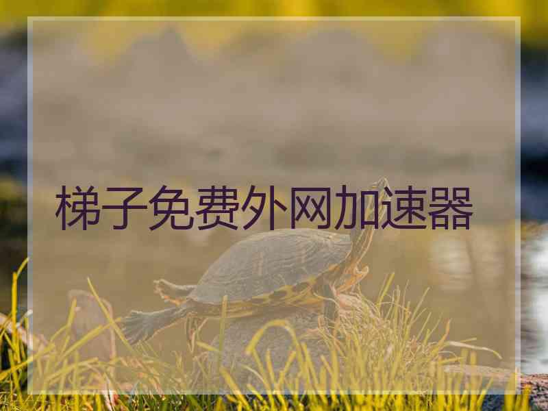 梯子免费外网加速器