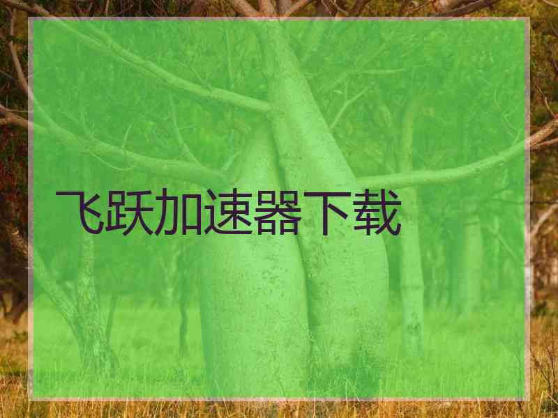 飞跃加速器下载
