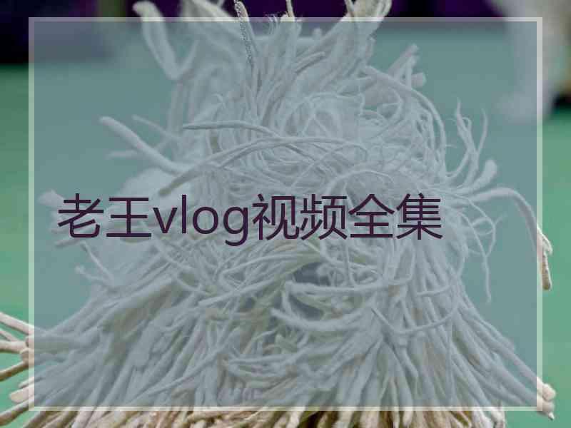 老王vlog视频全集