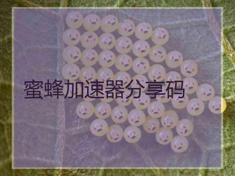 蜜蜂加速器分享码