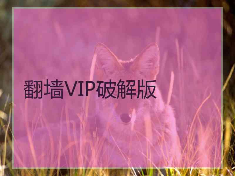 翻墙VIP破解版
