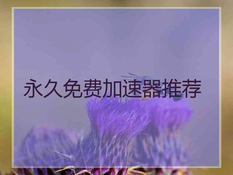 永久免费加速器推荐