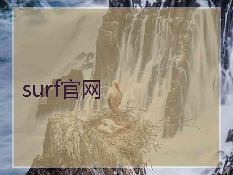 surf官网