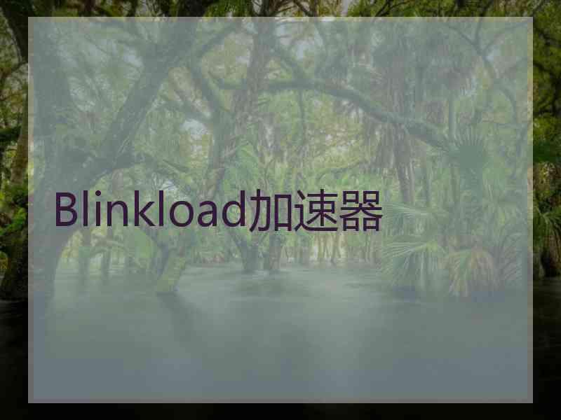 Blinkload加速器