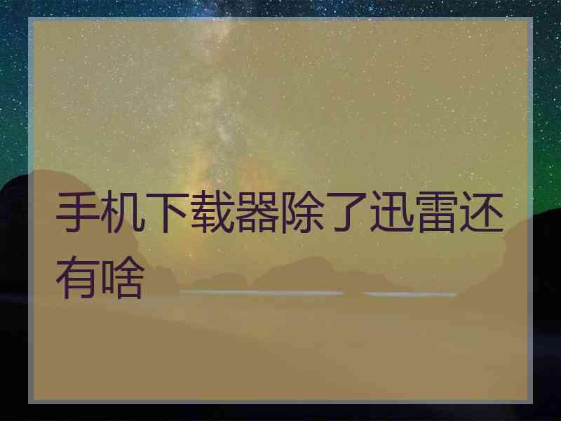 手机下载器除了迅雷还有啥