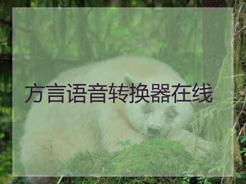 方言语音转换器在线