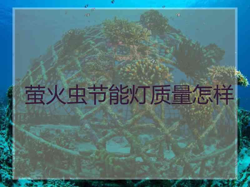 萤火虫节能灯质量怎样