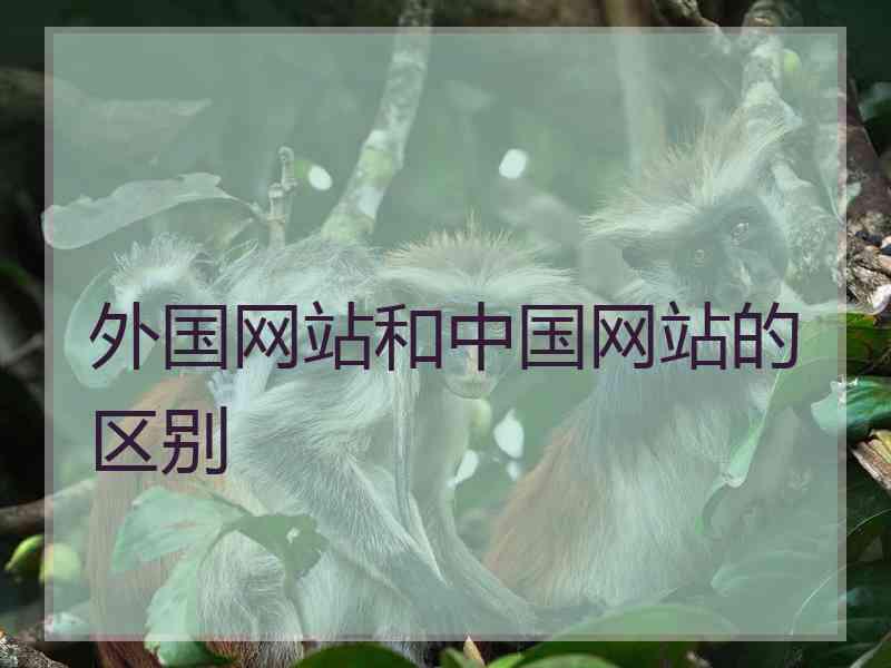 外国网站和中国网站的区别