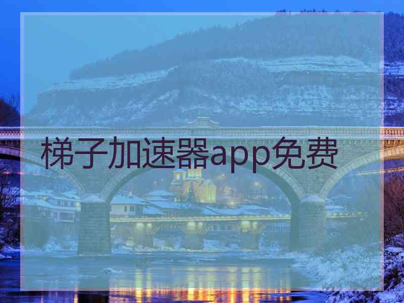 梯子加速器app免费