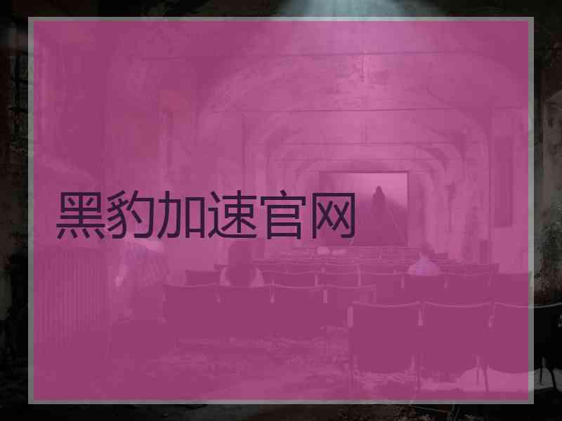 黑豹加速官网