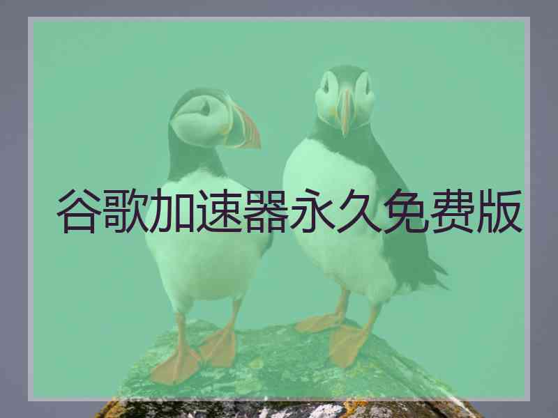 谷歌加速器永久免费版
