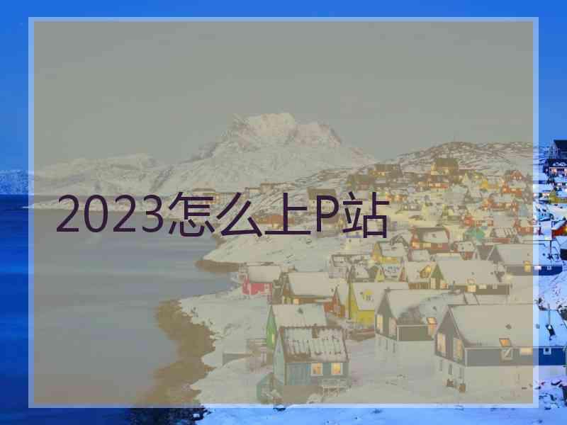 2023怎么上P站