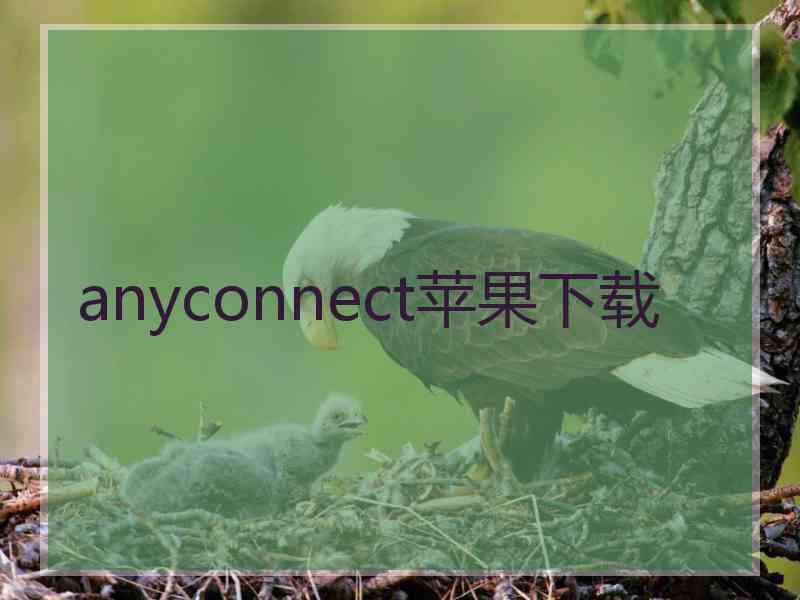 anyconnect苹果下载