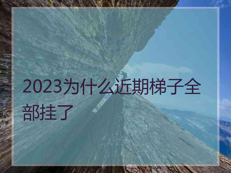 2023为什么近期梯子全部挂了