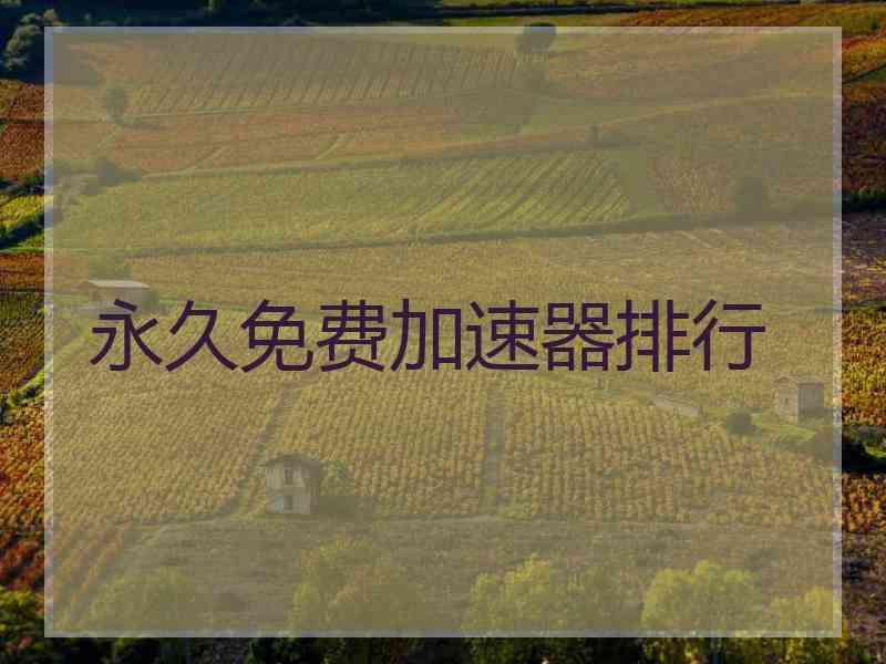 永久免费加速器排行