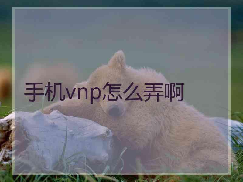 手机vnp怎么弄啊
