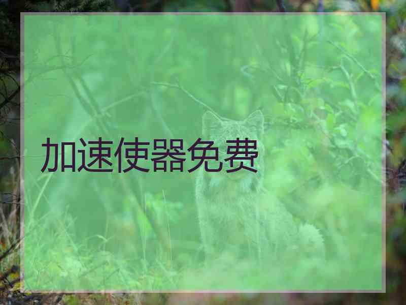 加速使器免费