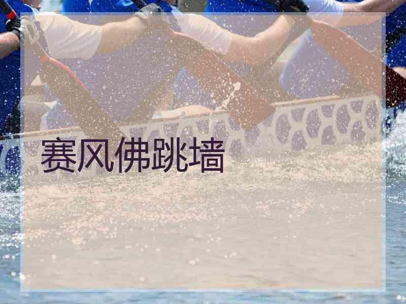 赛风佛跳墙