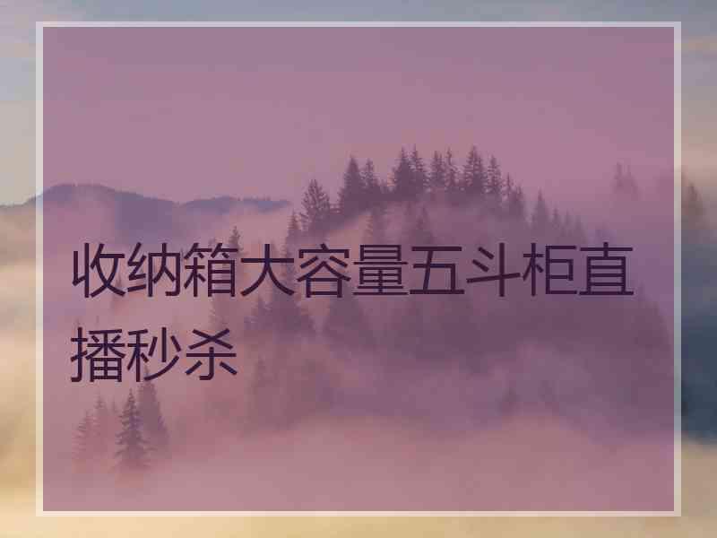 收纳箱大容量五斗柜直播秒杀