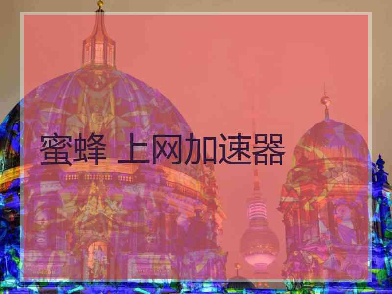 蜜蜂 上网加速器