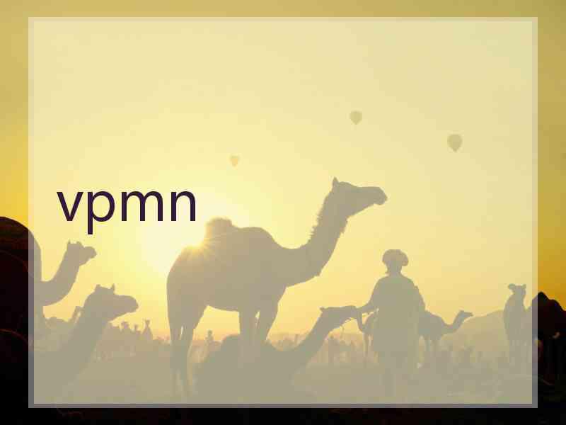 vpmn