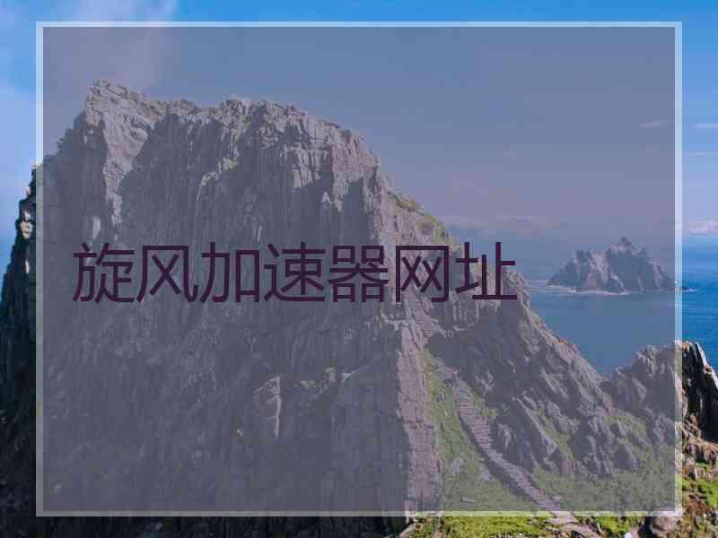 旋风加速器网址