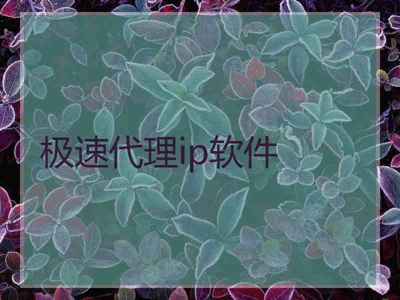 极速代理ip软件