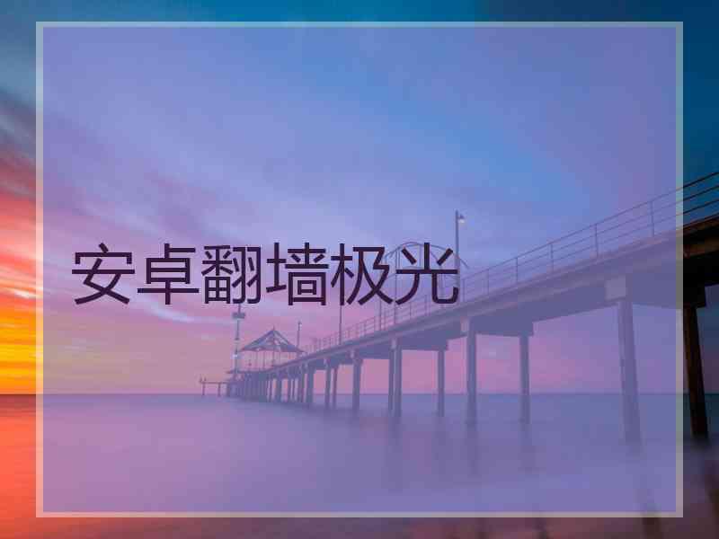 安卓翻墙极光