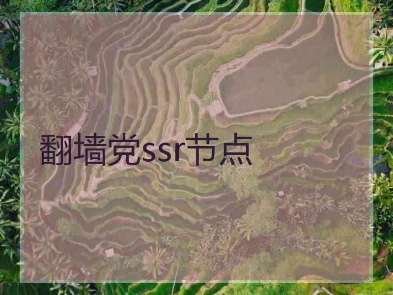 翻墙党ssr节点