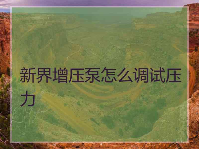 新界增压泵怎么调试压力