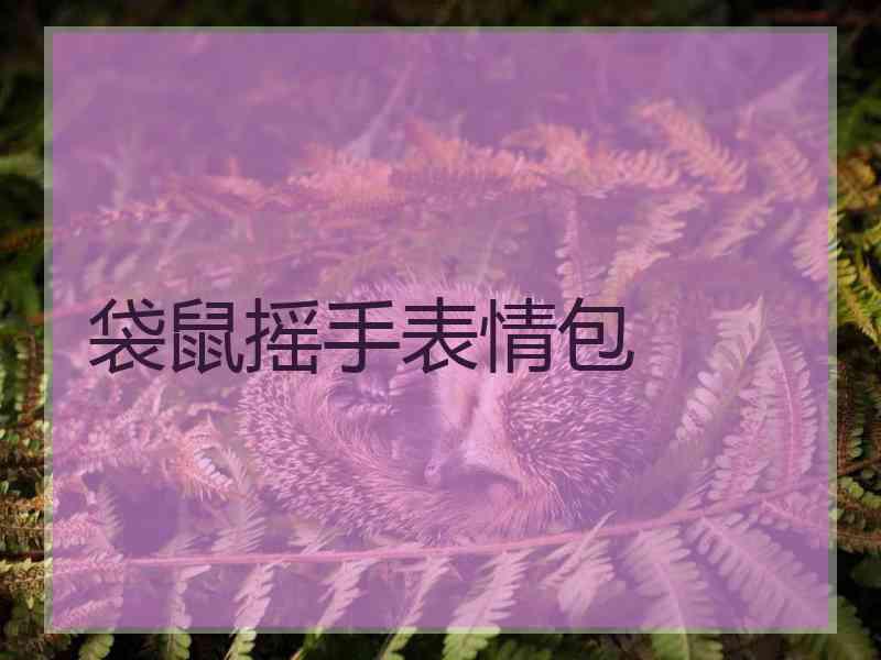 袋鼠摇手表情包