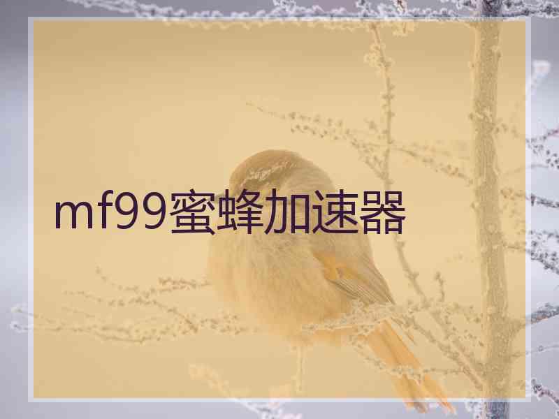 mf99蜜蜂加速器