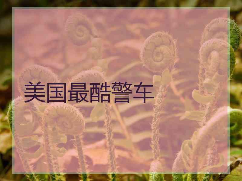 美国最酷警车