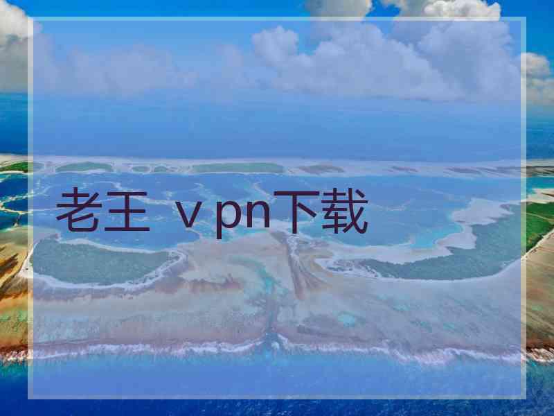 老王 ⅴpn下载