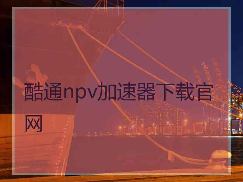 酷通npv加速器下载官网
