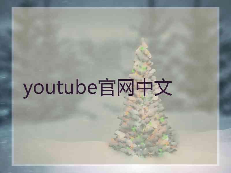youtube官网中文
