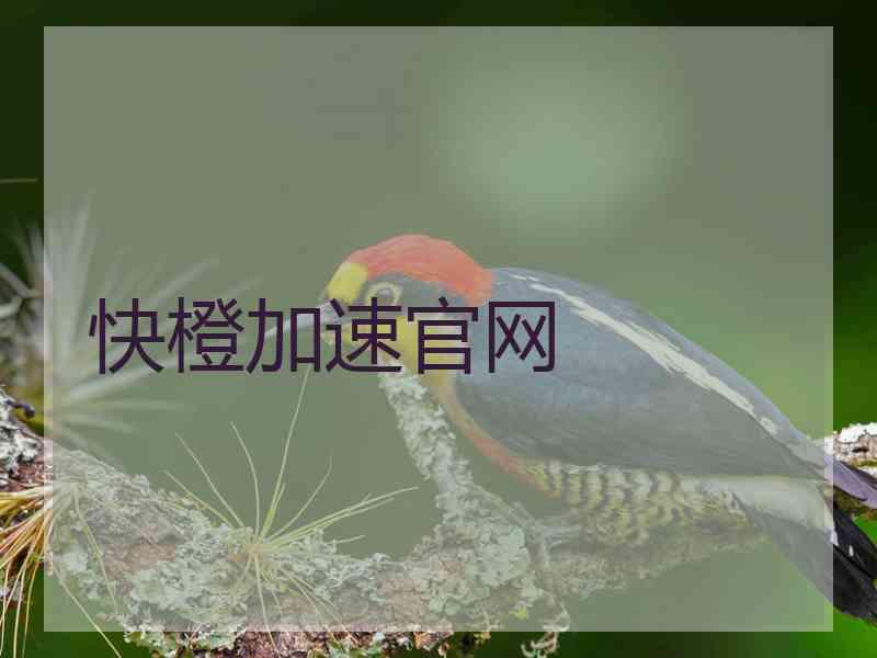 快橙加速官网