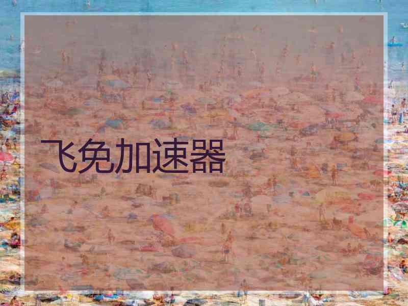 飞免加速器
