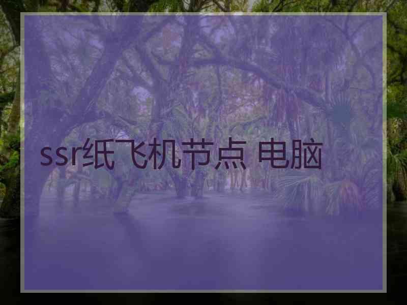 ssr纸飞机节点 电脑