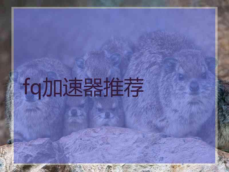 fq加速器推荐