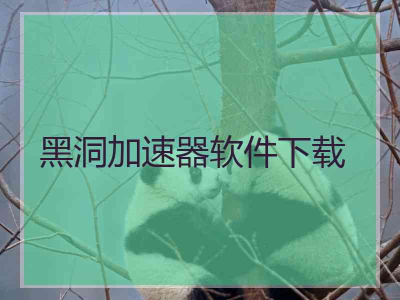 黑洞加速器软件下载