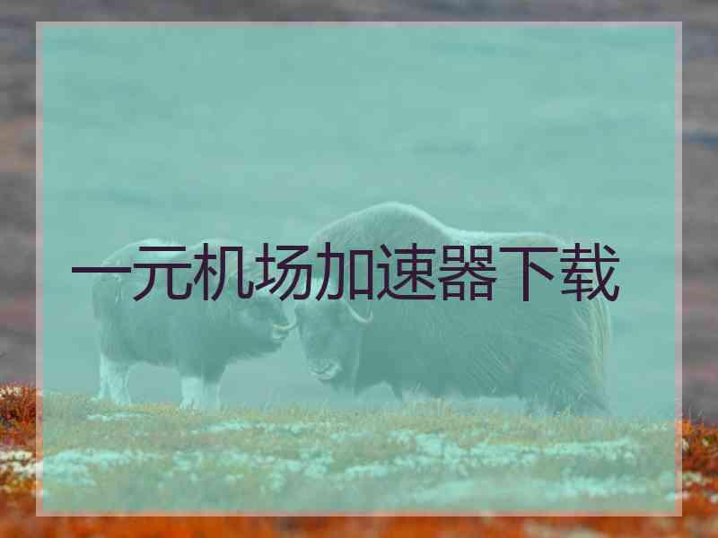 一元机场加速器下载