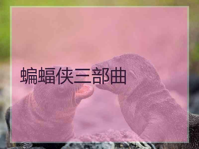 蝙蝠侠三部曲