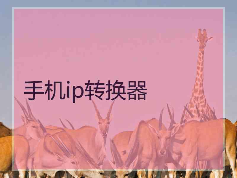 手机ip转换器