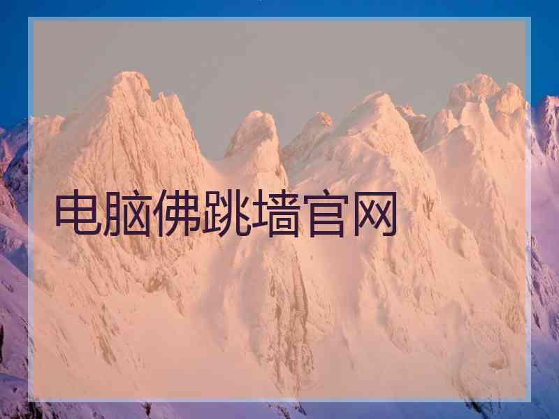 电脑佛跳墙官网
