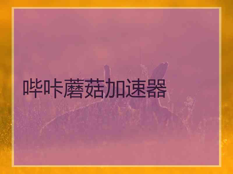 哔咔蘑菇加速器