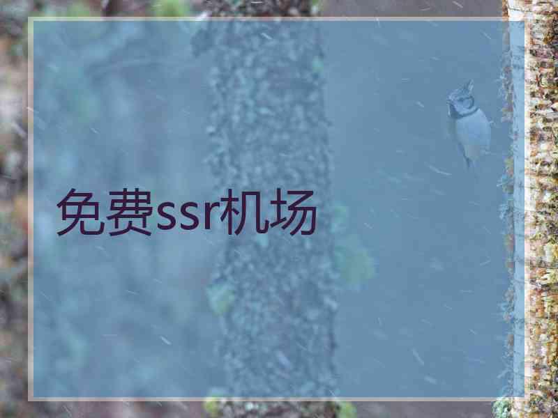 免费ssr机场
