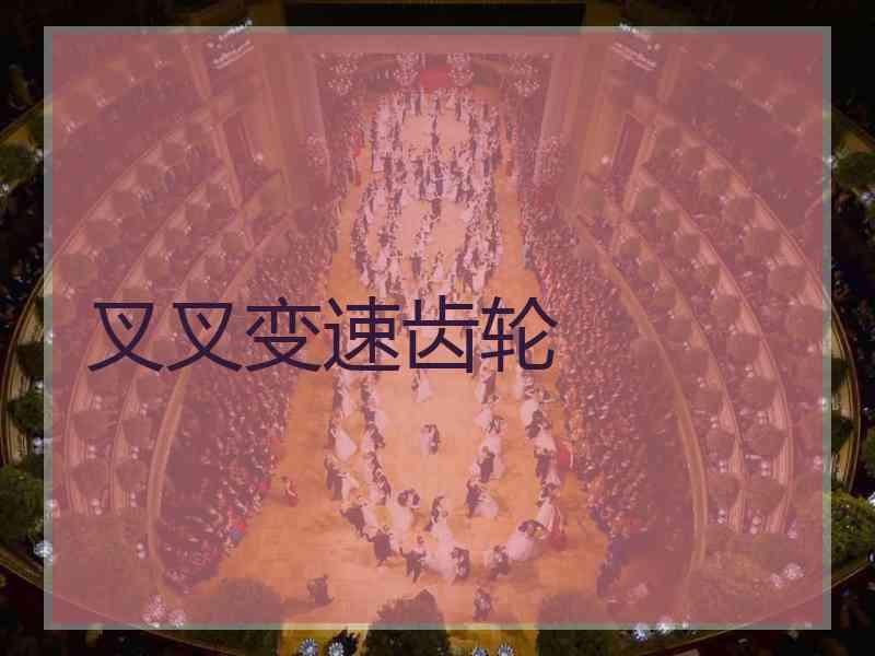 叉叉变速齿轮
