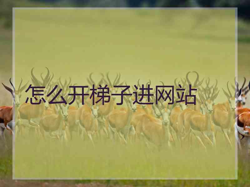 怎么开梯子进网站