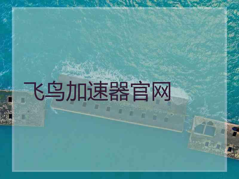 飞鸟加速器官网